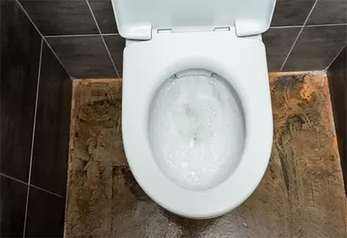 Desentupimento de Vaso Sanitário no Jardim Ângela